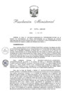 Vista preliminar de documento 0294-2023-IN