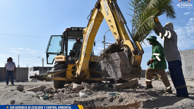 Municipalidad Provincial De Camaná Realizó Arborización En Balnearios “Punta Dorada”