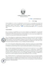Vista preliminar de documento RD_0155_2019_MINEM_DGAAE