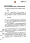 Vista preliminar de documento RGG033 y directiva.pdf