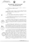 Vista preliminar de documento Resolucion de Sub-Gerencia 110