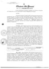 Vista preliminar de documento Resolucion de Sub-Gerencia 101