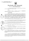 Vista preliminar de documento Resolucion de Sub-Gerencia 028