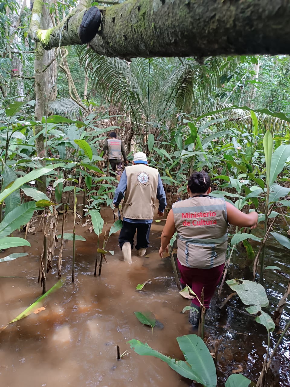 Madre de Dios: Ministerio de Cultura monitorea y resguarda a comunidad nativa de Monte Salvado ante presencia de indígenas en aislamiento