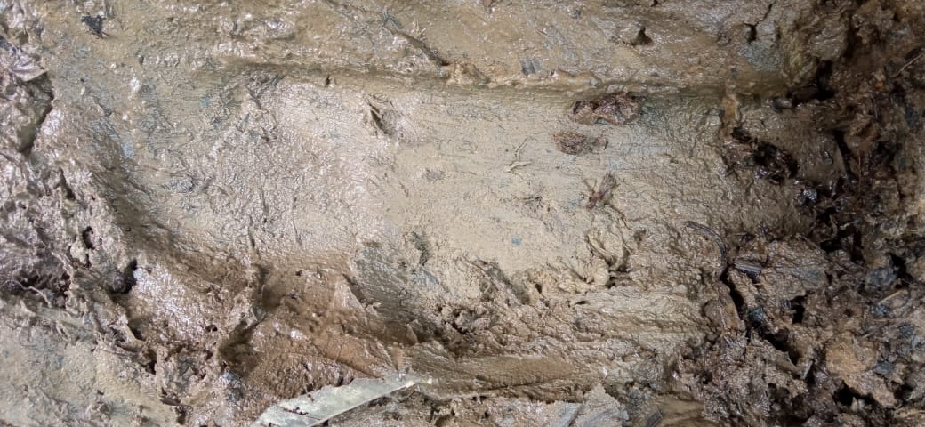Madre de Dios: Ministerio de Cultura monitorea y resguarda a comunidad nativa de Monte Salvado ante presencia de indígenas en aislamiento
