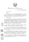 Vista preliminar de documento RD. 330-2019