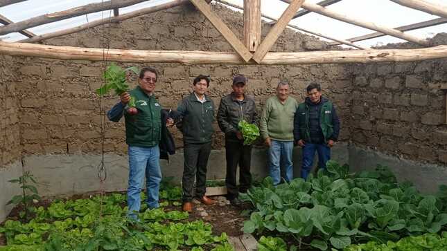 Fitotoldos Ayacucho y Huancavelica