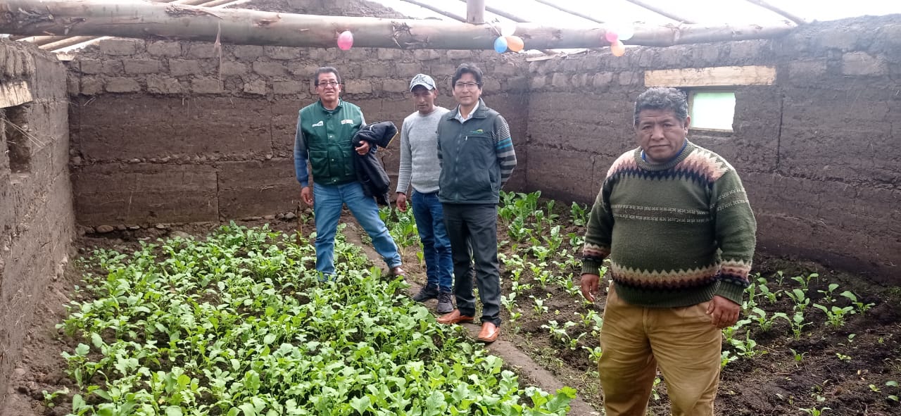 Fitotoldos Ayacucho y Huancavelica