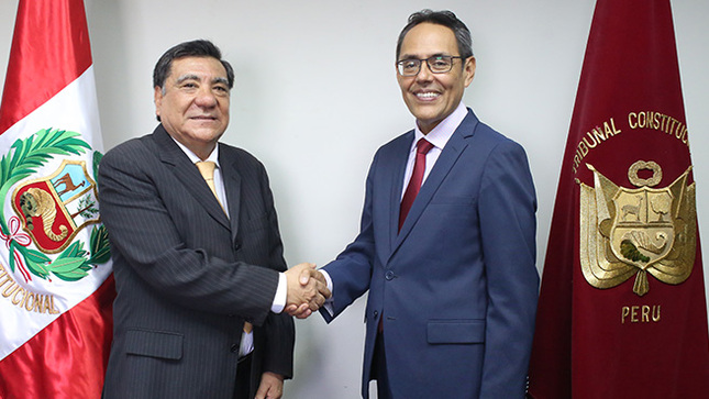 Director del Centro de Estudios Constitucionales del TC se reúne con presidente de la Asociación Peruana de Derecho Ambiental.