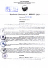 Vista preliminar de documento Resolución Directoral. Nº 0442 - 2023