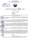 Vista preliminar de documento Resolución Directoral. Nº 0453 - 2023 