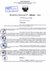 Vista preliminar de documento Resolución Directoral. Nº 0461 - 2023 