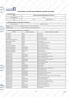 Vista preliminar de documento Cuadro para Asignación de Personal Provisional – CAP Provisional 