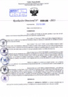 Vista preliminar de documento Resolución Directoral. Nº 0480 - 2023 