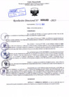 Vista preliminar de documento Resolución Directoral. Nº 0493 - 2023 