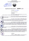 Vista preliminar de documento Resolución Directora. Nº 0496 - 2023 