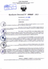 Vista preliminar de documento Resolución Directoral. Nº 0507 - 2023 