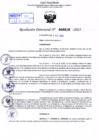 Vista preliminar de documento Resolución Directoral. Nº 0516 - 2023