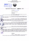 Vista preliminar de documento Resolución Directoral. Nº 0519 - 2023 