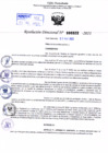 Vista preliminar de documento Resolución Directoral. Nº 0522 - 2023 