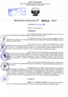 Vista preliminar de documento Resolución Directoral. Nº 0542 - 2023 