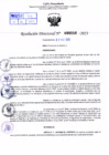 Vista preliminar de documento Resolución Directoral. Nº 0556 - 2023