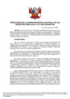Vista preliminar de documento Resolución de la Superintendencia Nacional de los Registros Públicos N° 015-2023-SUNARP/SN