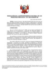 Vista preliminar de documento Resolución de la Superintendencia Nacional de los Registros Públicos N° 018-2023-SUNARP/SN
