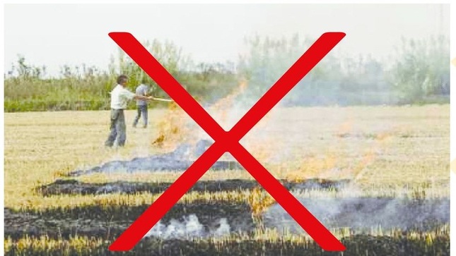 Agricultores Irresponsables Serán Sancionados.
