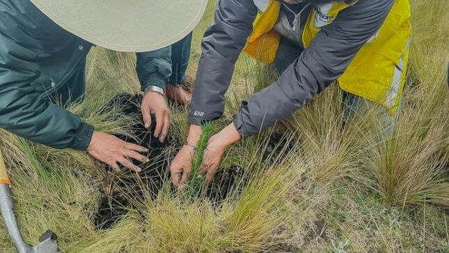 Municipalidad Provincial de Cajamarca estuvo presente en proyecto “Huella Verde”