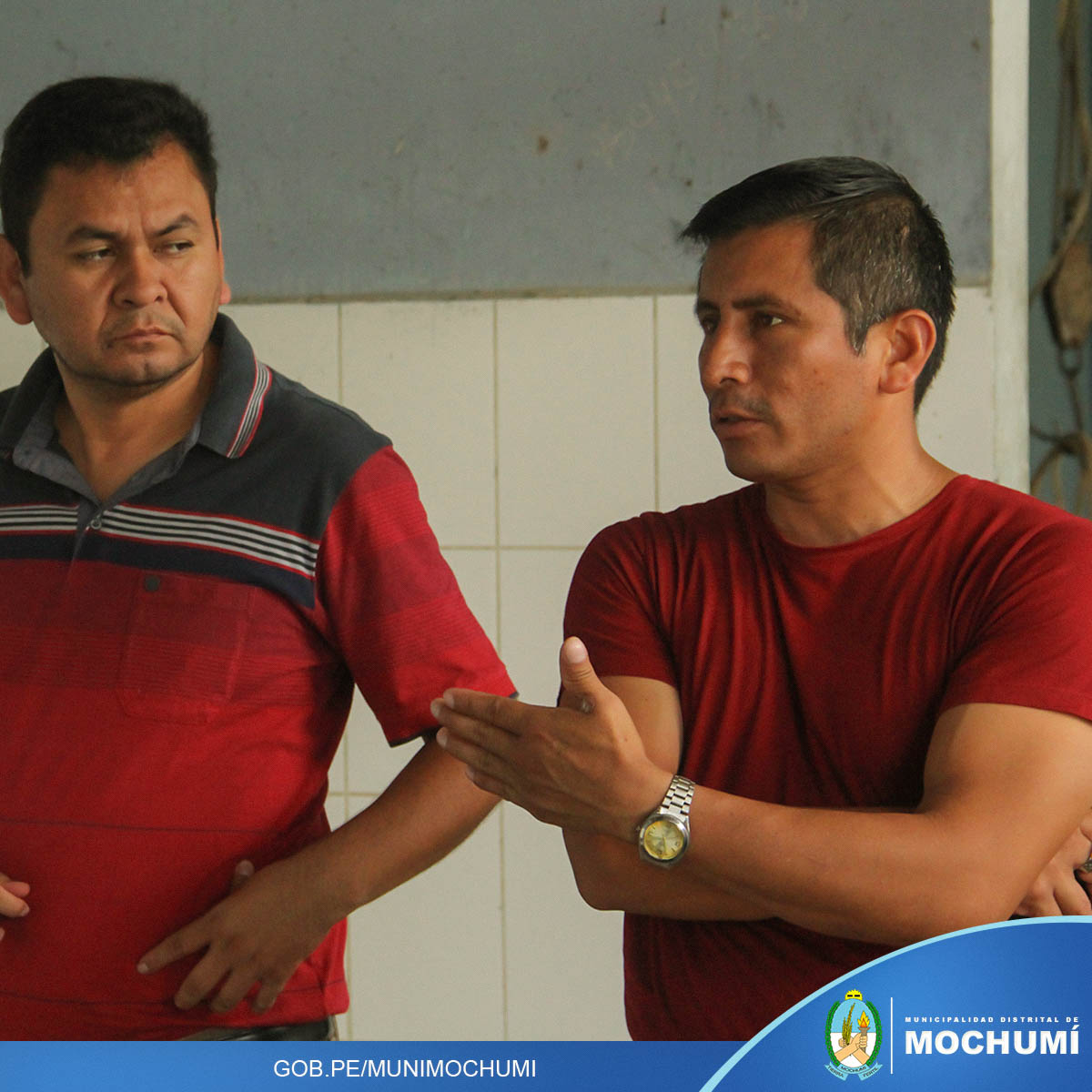 Imagen 2