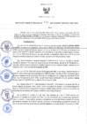 Vista preliminar de documento RES-111-2023-GRDS