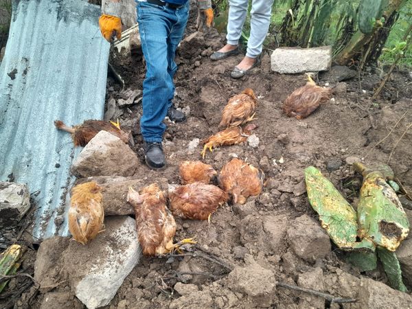 Reconocimiento los daños y empadronamiento a la familias damnificadas por las intensas lluvias