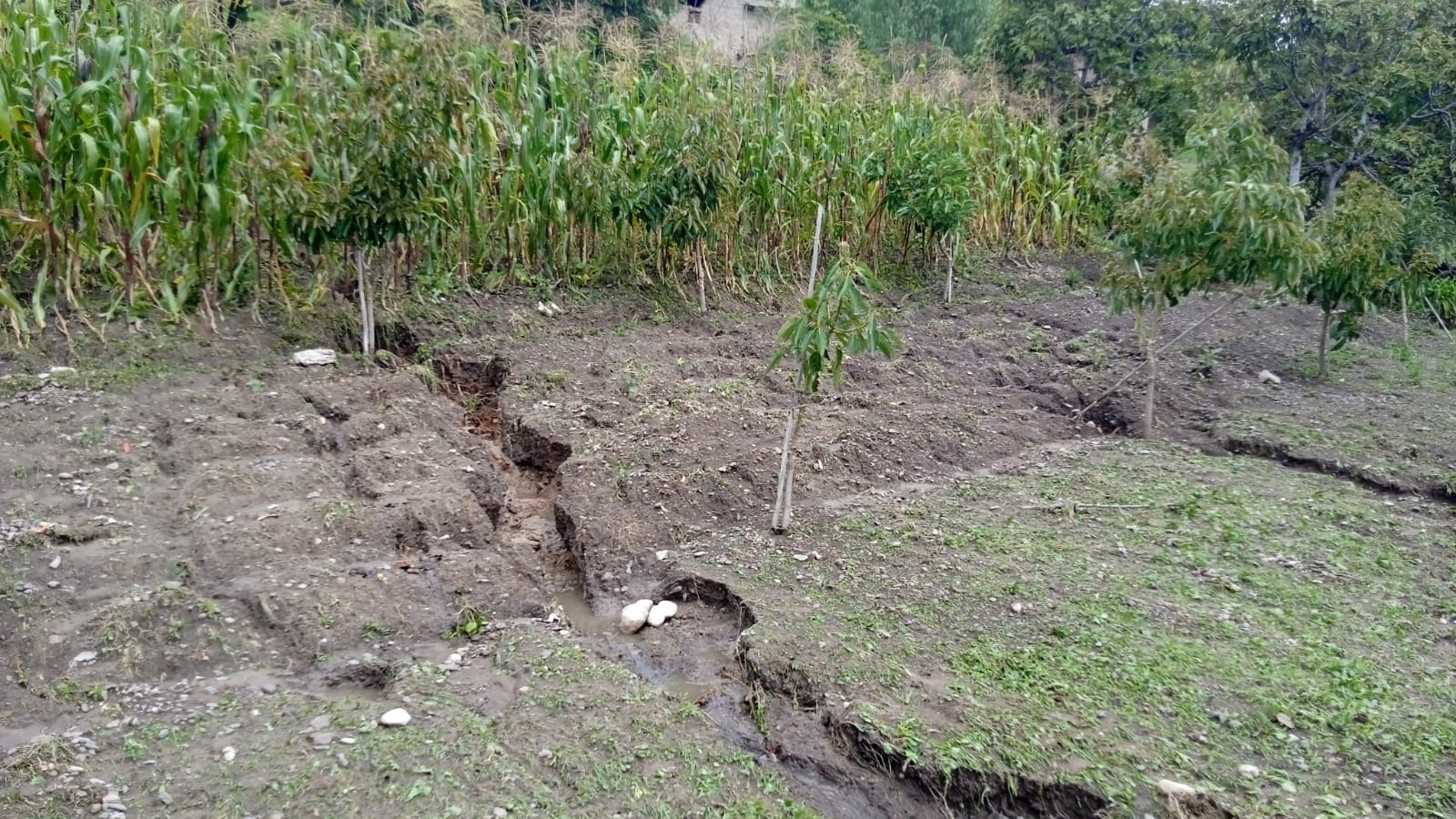 Reconocimiento los daños y empadronamiento a la familias damnificadas por las intensas lluvias