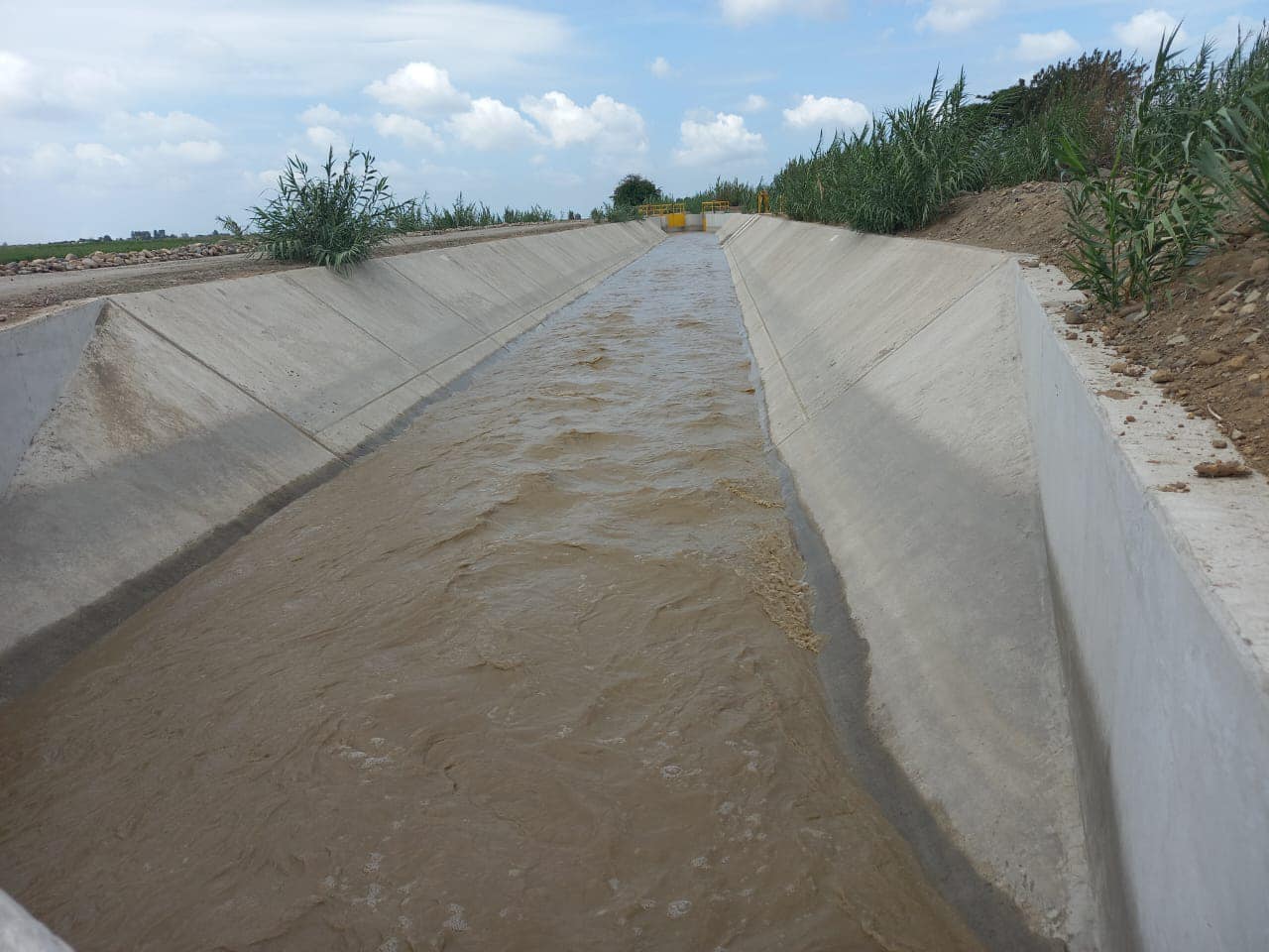 FOTO 03