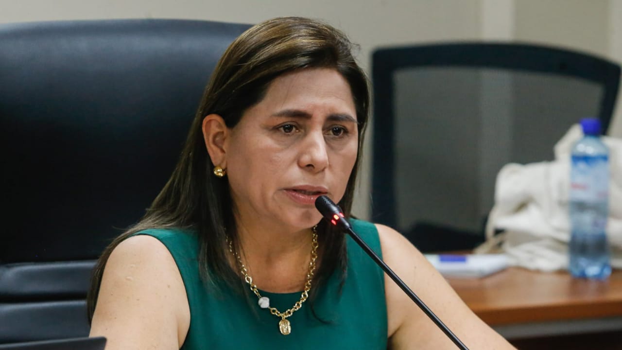 Durante su presentación ante el Congreso, la ministra Rosa Gutiérrez también se refirió al aumento de coberturas de vacunación y Ley de Cáncer Infantil