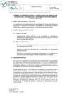 Vista preliminar de documento TDR 650.pdf