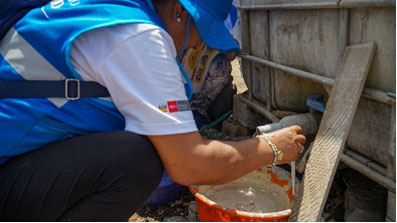 Imagen 2 de Diris Lima Centro intensifica acciones contra el dengue en más de 25, 150 viviendas en lo que va del año