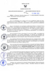 Vista preliminar de documento RES N°315-2023-GR
