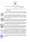 Vista preliminar de documento RES N°316-2023-GR