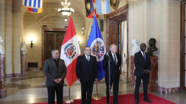 OEA 1