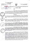 Vista preliminar de documento RD N°016.pdf
