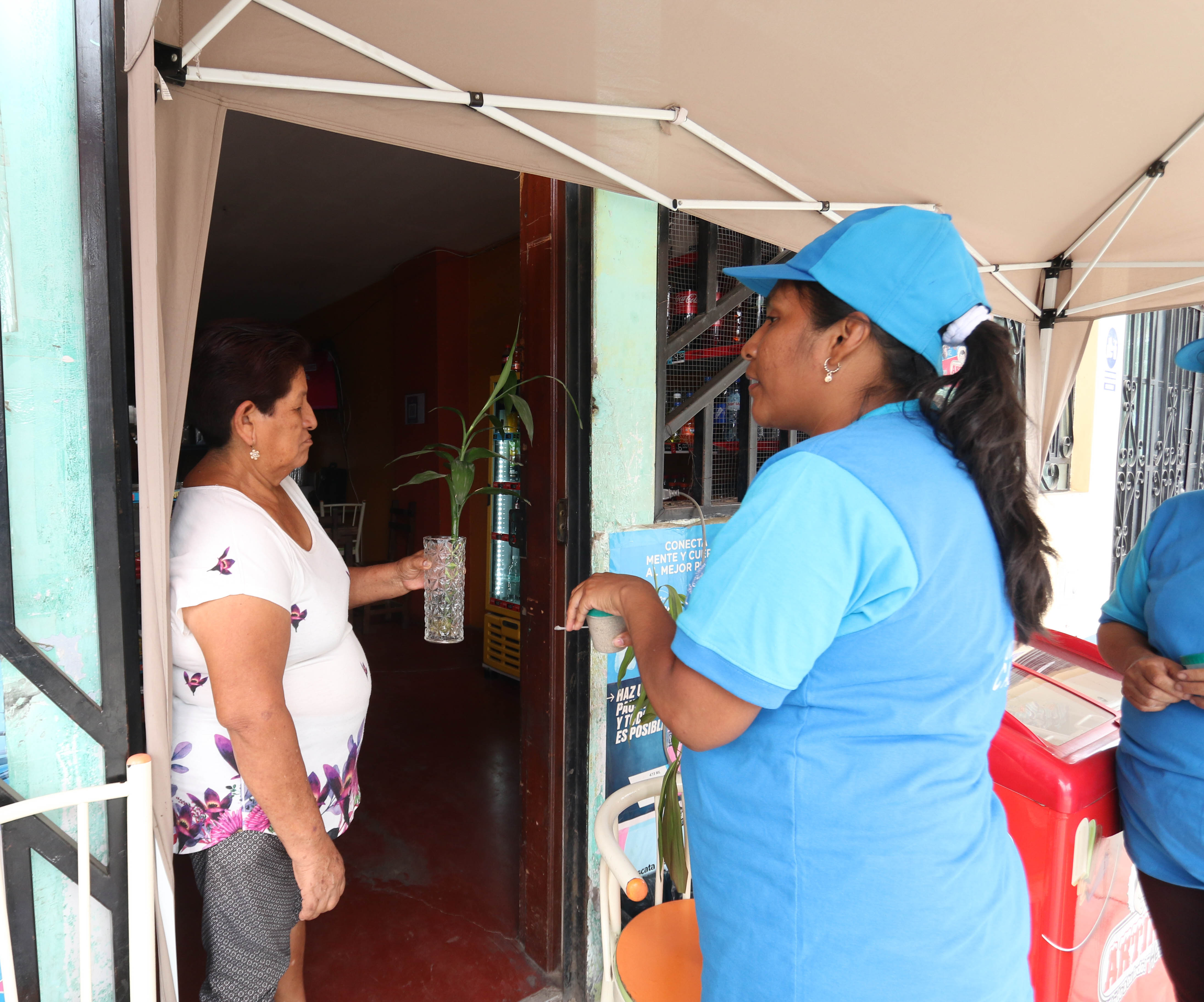 La municipalidad del Callao a través de la gerencia de salud, inició una campaña de prevención de dengue en diversos puntos del primer puerto.