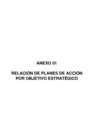 Vista preliminar de documento Anexo - Plan Operativo Institucional 2007