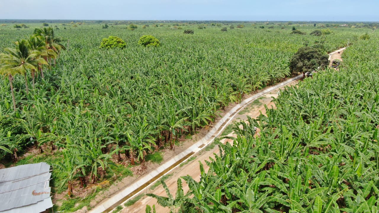Diálogos Agro Rurales - Tumbes y Piura
