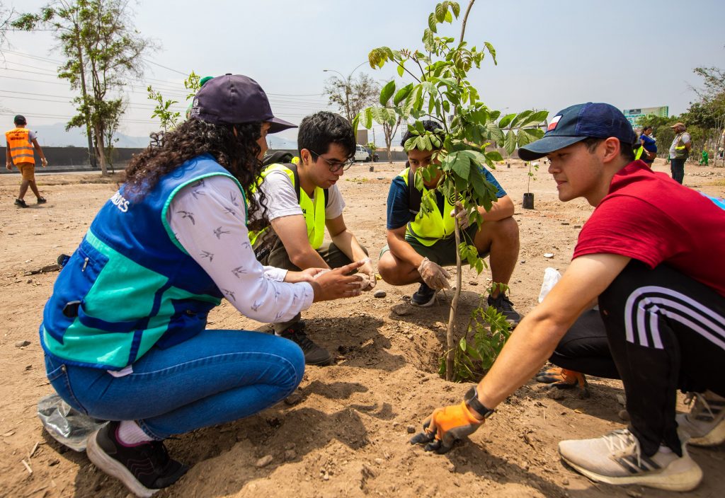 Autoridades y personal plantando árboles