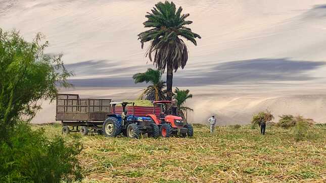 📌Como parte de las actividades de la Gerencia de Desarrollo Económico y en coordinación con los agricultores. 