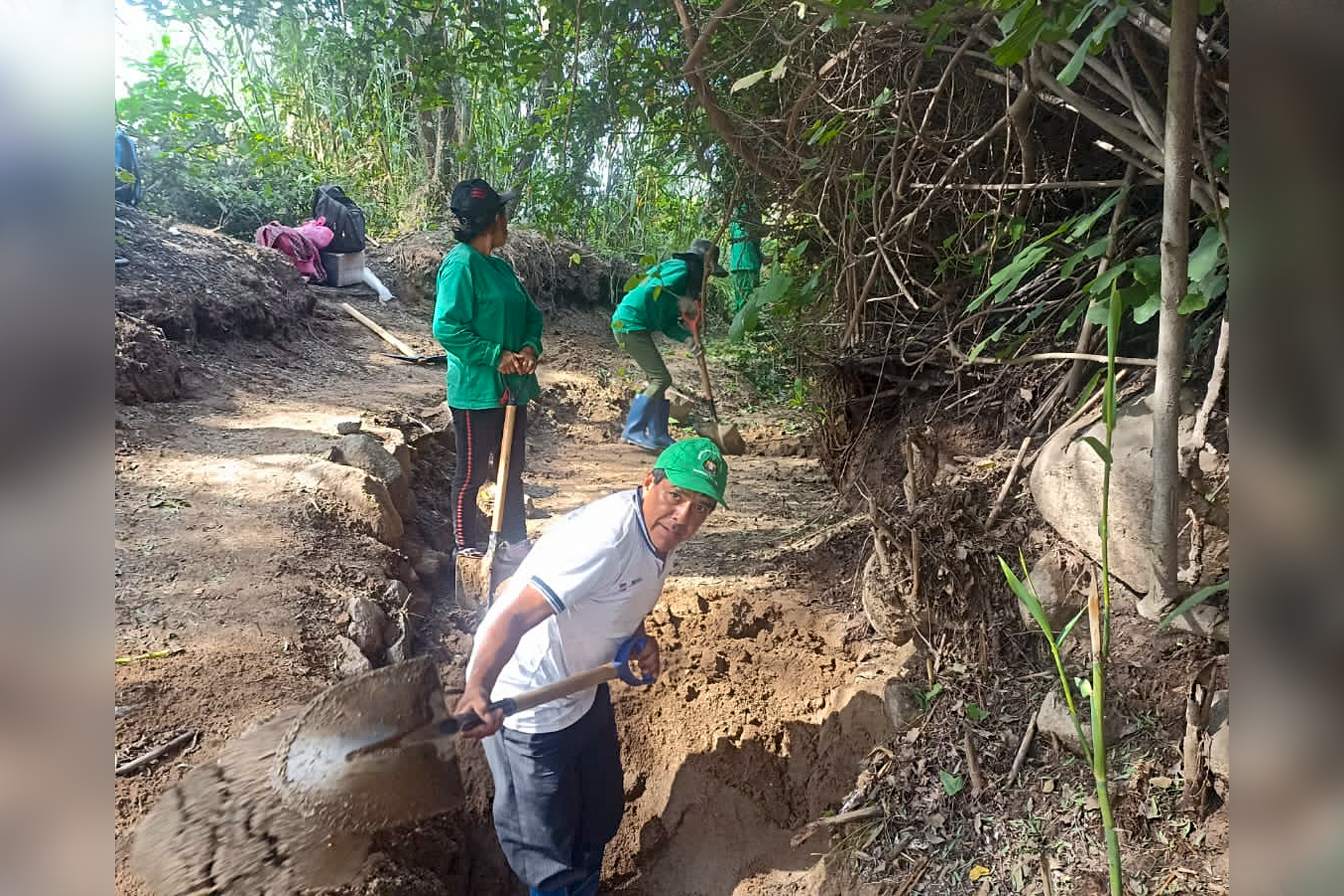 productores limpiando parcelas agrícolas