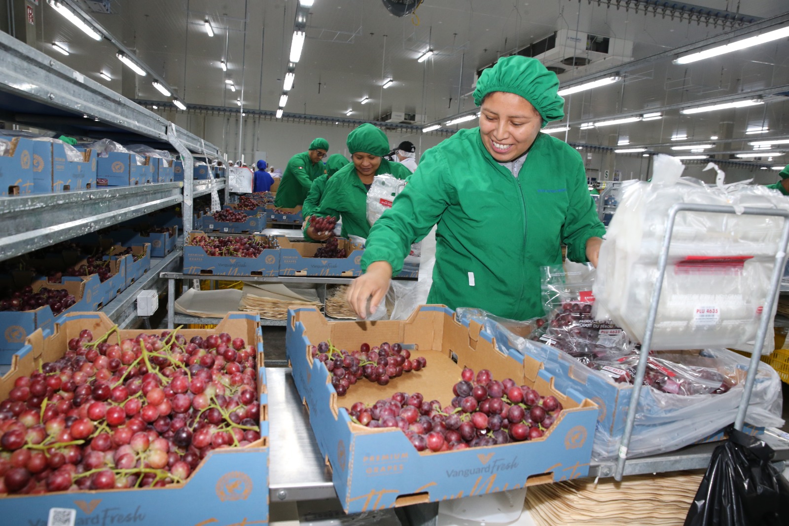 MTPE: Empleo formal de las mujeres en el sector privado peruano creció 10,8%
