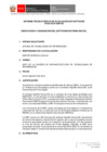 Vista preliminar de documento IT 007-2019